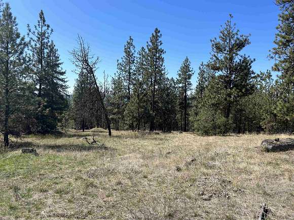 20 Acres of Recreational Land for Sale in Tumtum, Washington