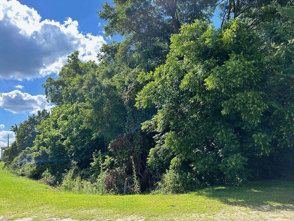 1.1 Acres of Land for Sale in Abbeville, Georgia