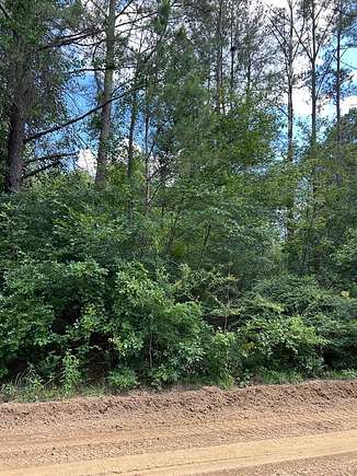 1.5 Acres of Residential Land for Sale in Abbeville, Georgia