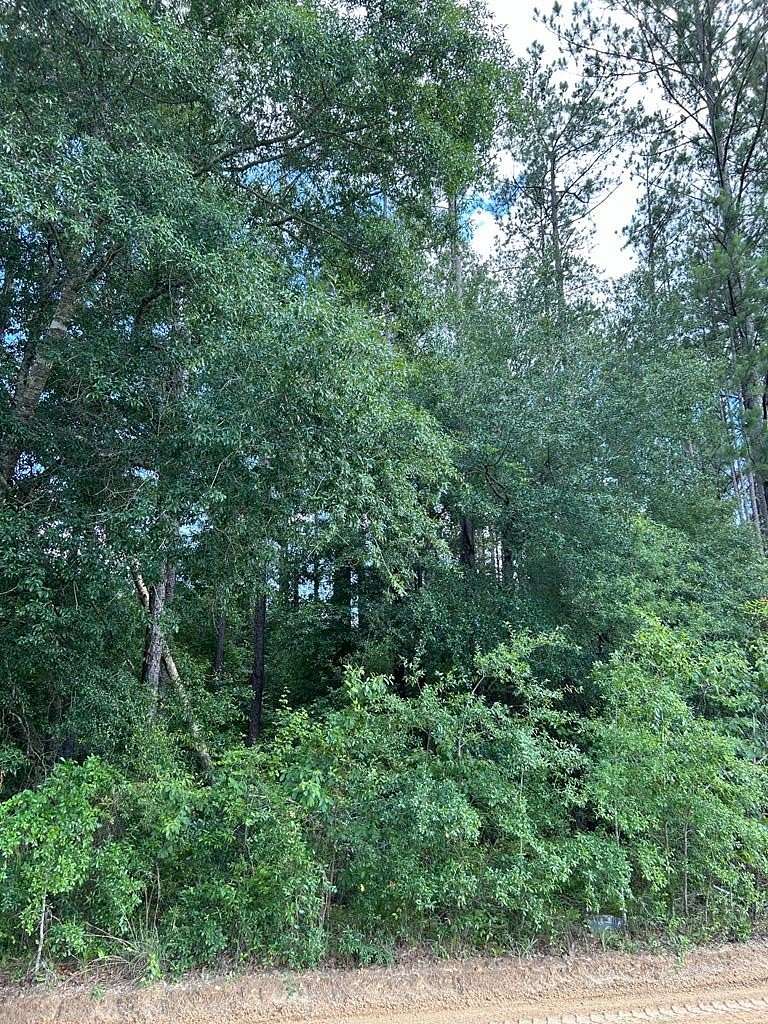 1.5 Acres of Residential Land for Sale in Abbeville, Georgia