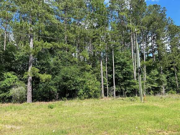 1.4 Acres of Land for Sale in Abbeville, Georgia
