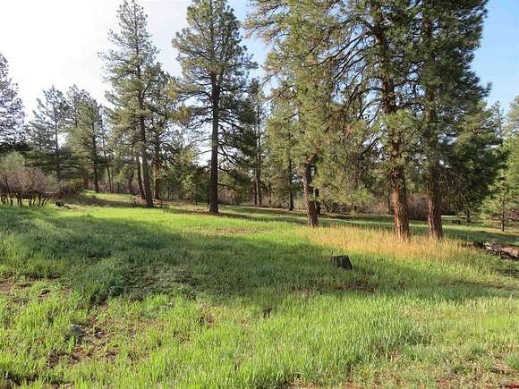 5.8 Acres of Residential Land for Sale in Pagosa Springs, Colorado