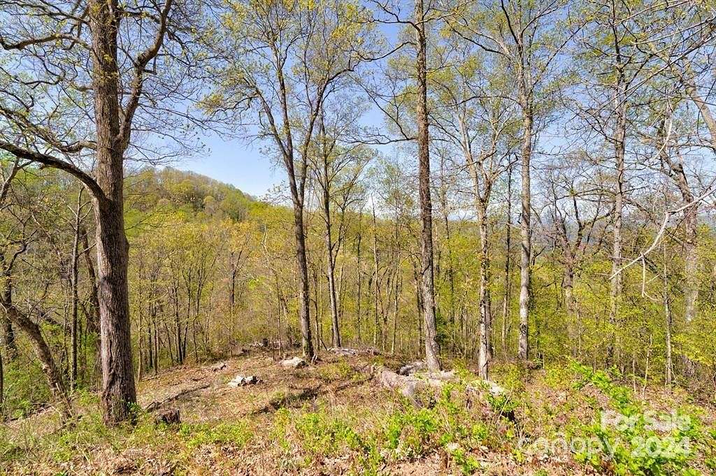 6.1 Acres of Residential Land for Sale in Weaverville, North Carolina