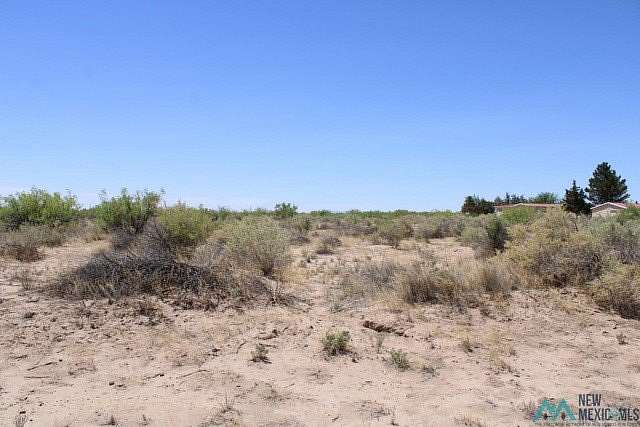 1 Acre of Land for Sale in Deming, New Mexico