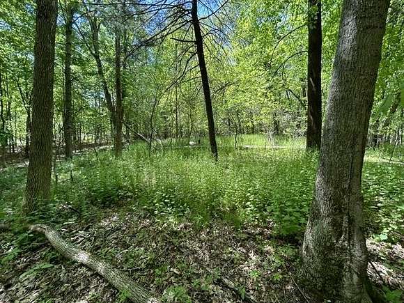 2.2 Acres of Residential Land for Sale in Arkdale, Wisconsin