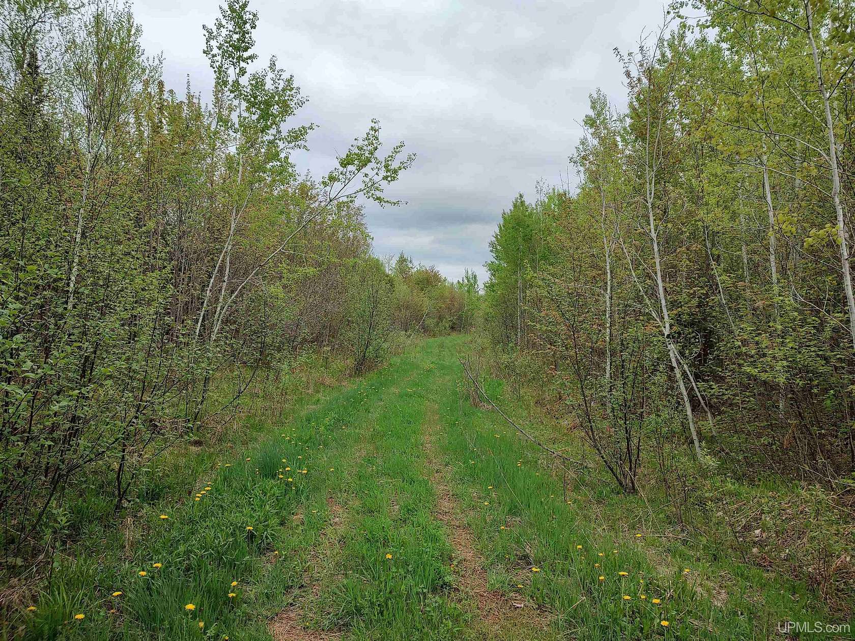 80 Acres of Recreational Land for Sale in Rockland, Michigan