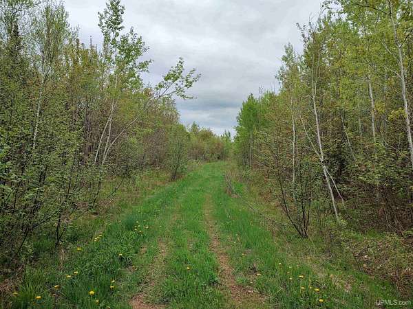 80 Acres of Recreational Land for Sale in Rockland, Michigan