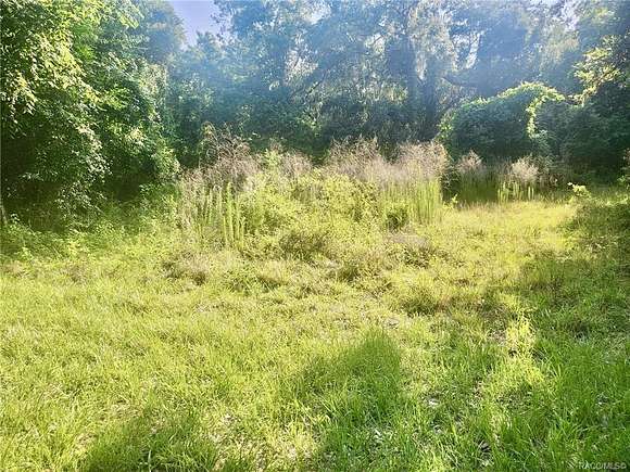 0.34 Acres of Land for Sale in Floral City, Florida