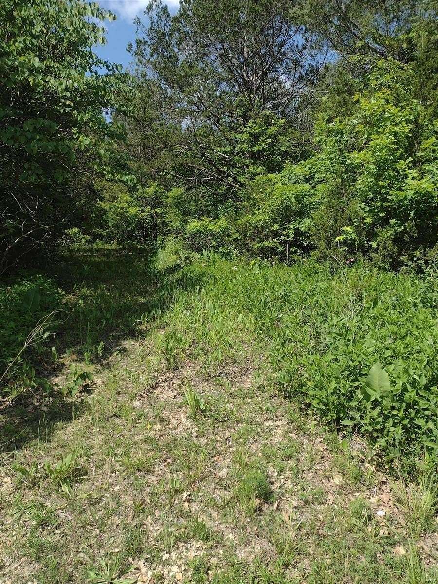 0.654 Acres of Residential Land for Sale in Bonne Terre, Missouri