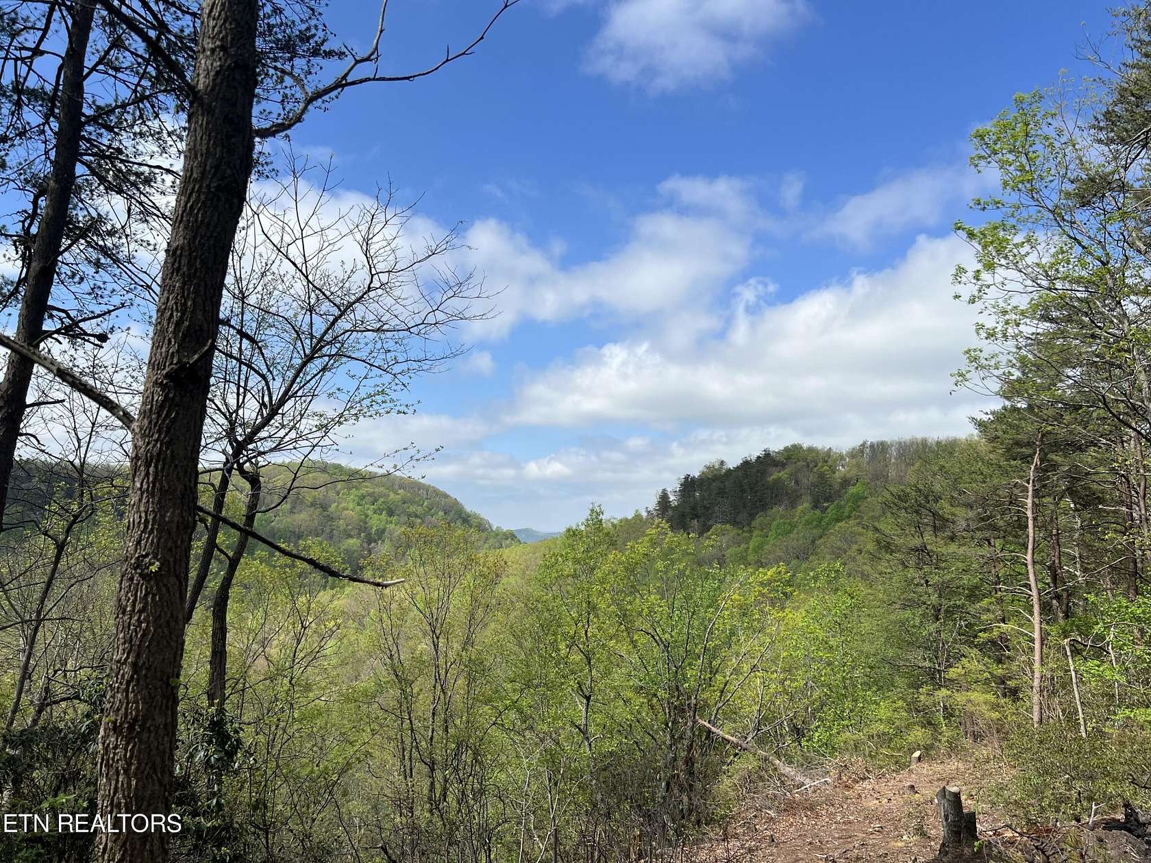 0.78 Acres of Residential Land for Sale in Monterey, Tennessee