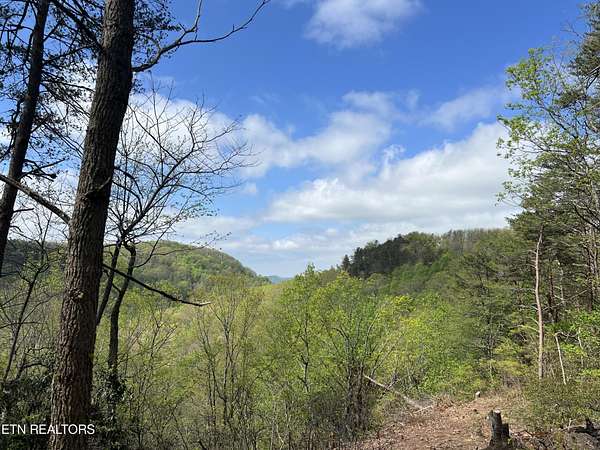 0.78 Acres of Residential Land for Sale in Monterey, Tennessee