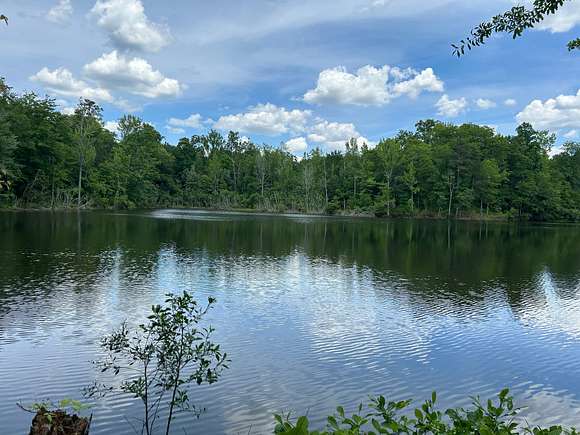 123 Acres of Recreational Land for Sale in Gray, Georgia