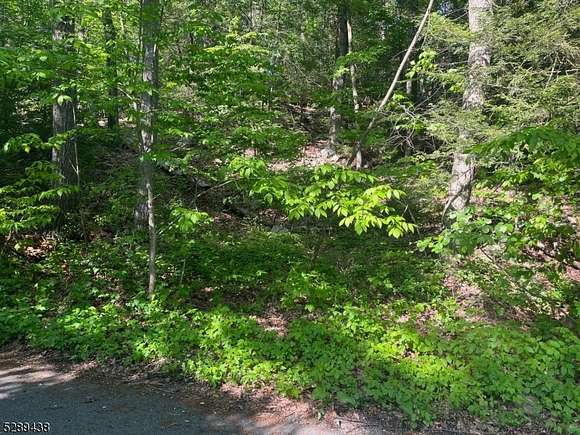 1 Acre of Residential Land for Sale in West Milford Township, New Jersey