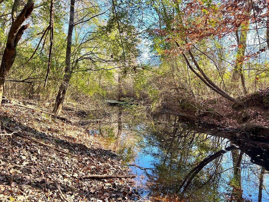 60 Acres of Recreational Land for Sale in Smithdale, Mississippi