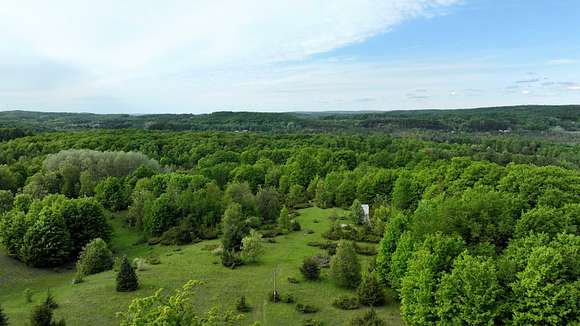 20 Acres of Recreational Land for Sale in East Jordan, Michigan