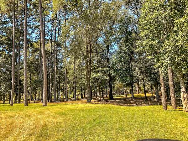 28 Acres of Recreational & Residential Land for Sale in Jefferson, Texas