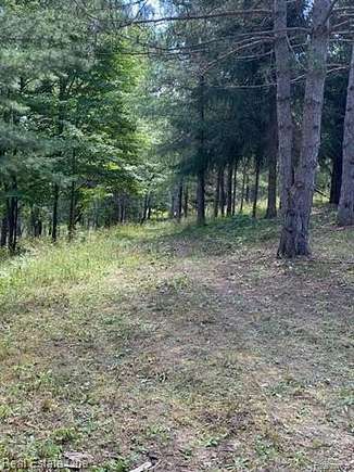 2.7 Acres of Residential Land for Sale in Charlevoix, Michigan