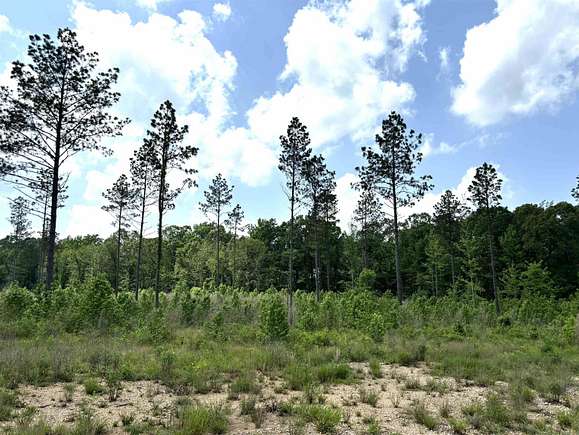 3.09 Acres of Residential Land for Sale in Sheridan, Arkansas