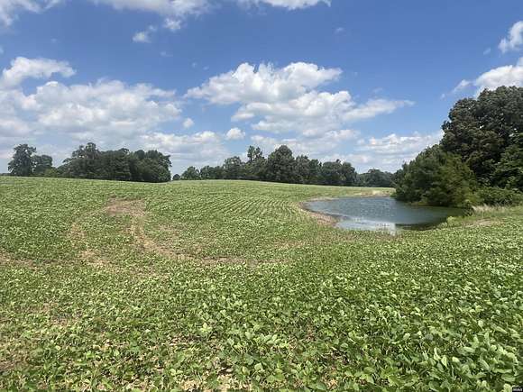 13.6 Acres of Agricultural Land for Sale in Union City, Tennessee