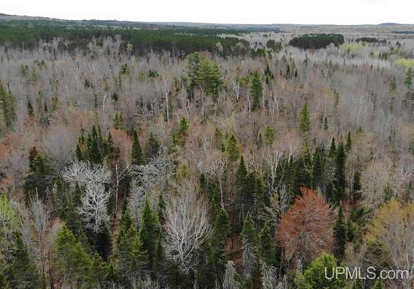 39 Acres of Recreational Land for Sale in Bruce Crossing, Michigan