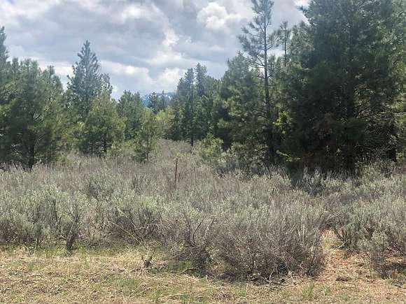 1.6 Acres of Land for Sale in McCall, Idaho