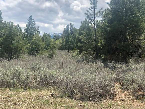 1.581 Acres of Land for Sale in McCall, Idaho