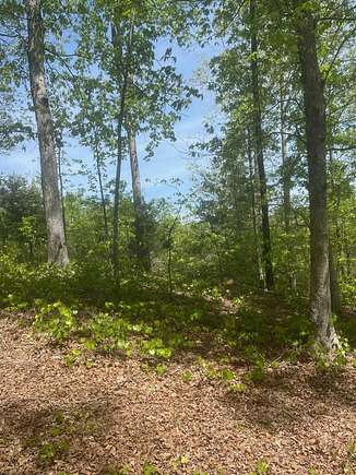 3 Acres of Land for Sale in Riceville, Tennessee