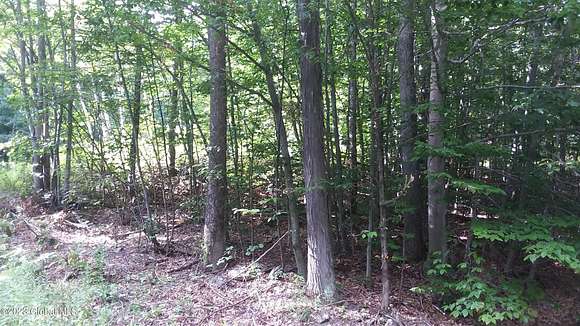 5.6 Acres of Land for Sale in Blenheim Town, New York