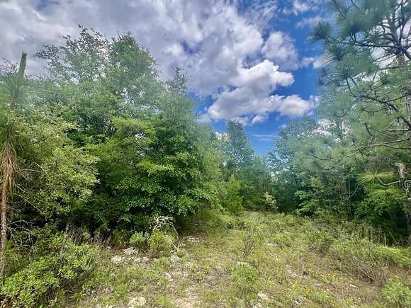 1.4 Acres of Residential Land for Sale in Alford, Florida