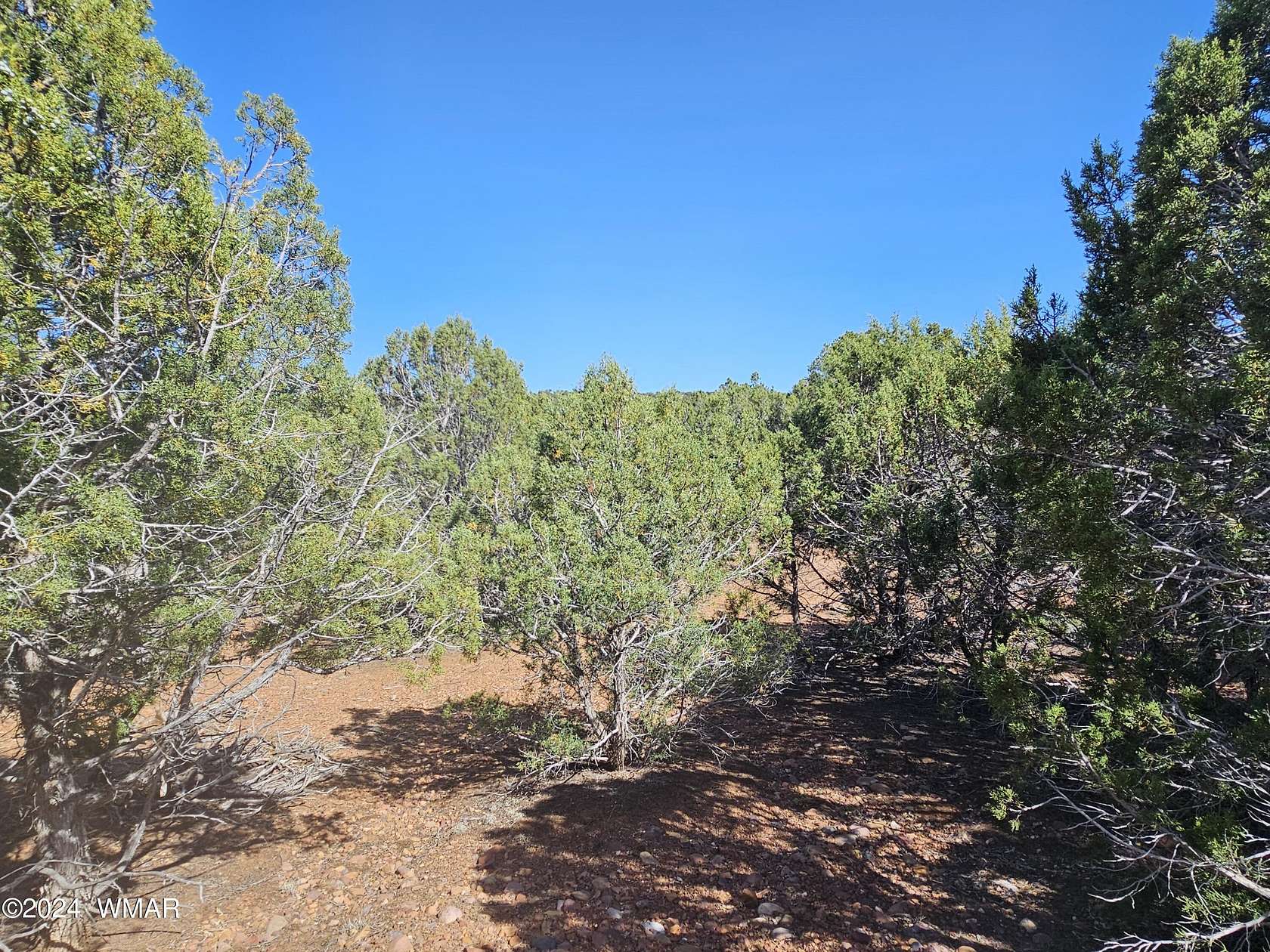 4 Acres of Residential Land for Sale in Show Low, Arizona