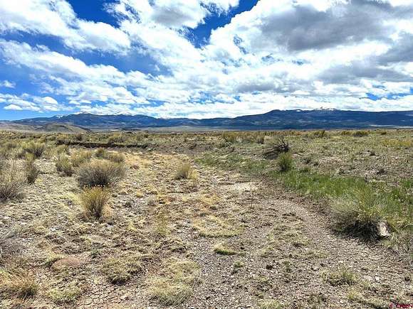 40 Acres of Agricultural Land for Sale in Del Norte, Colorado