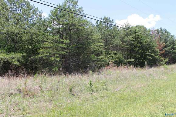63 Acres of Agricultural Land for Sale in Fort Payne, Alabama