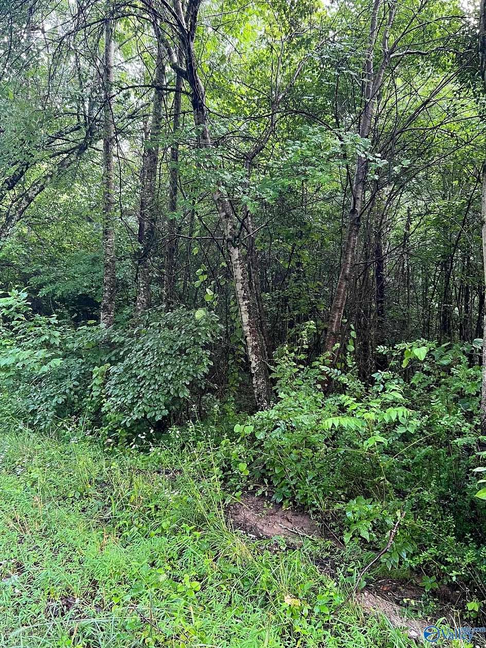 40 Acres of Land for Sale in Guntersville, Alabama