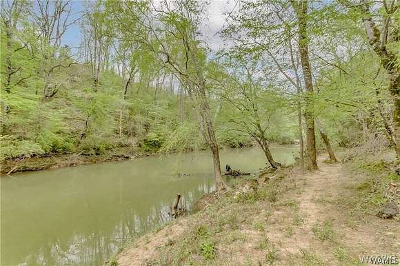 11 Acres of Land for Sale in Berry, Alabama
