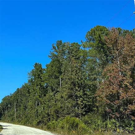 0.46 Acres of Residential Land for Sale in De Leon Springs, Florida