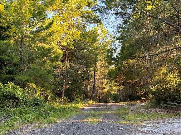 0.46 Acres of Residential Land for Sale in De Leon Springs, Florida