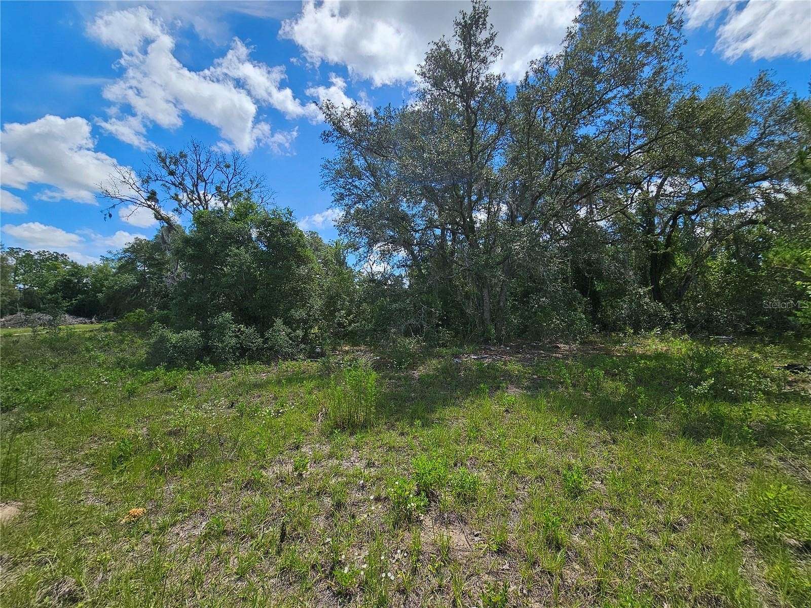 4.3 Acres of Land for Sale in Bronson, Florida