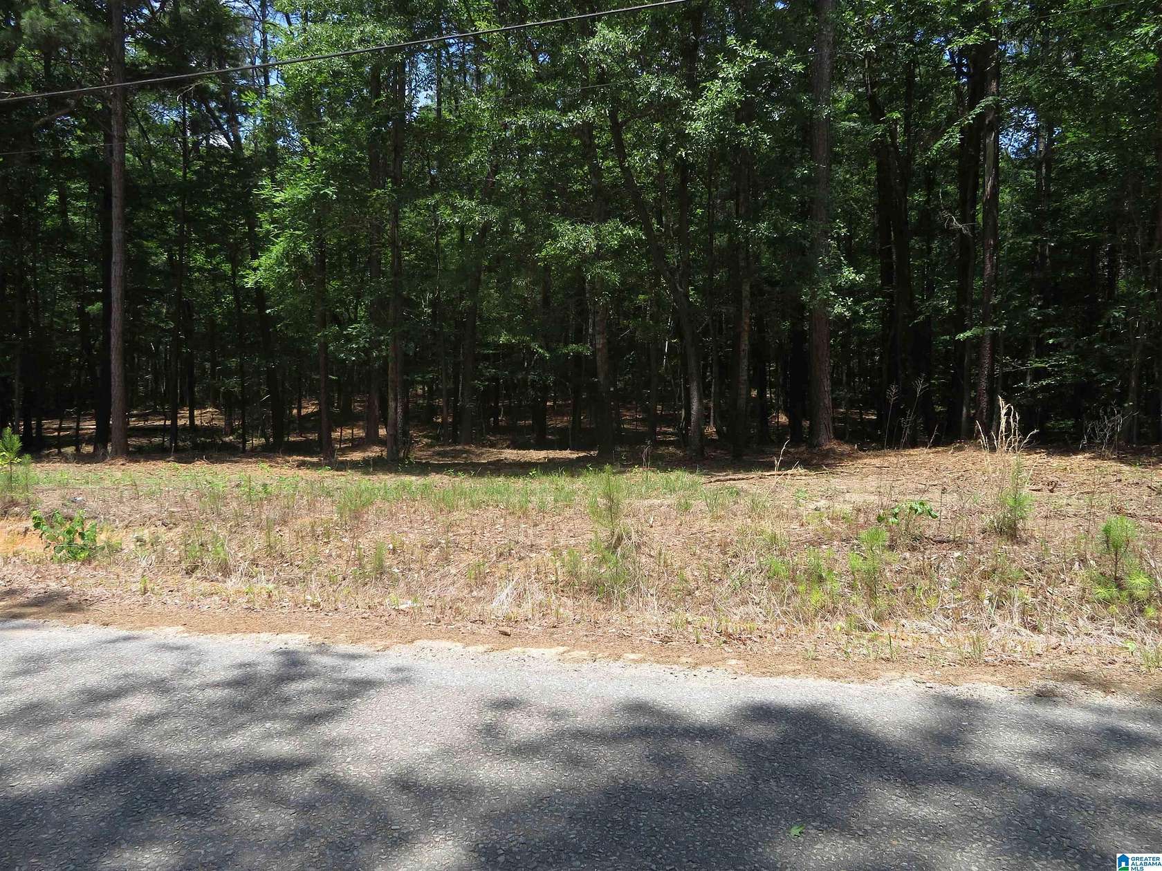 1 Acre of Residential Land for Sale in McCalla, Alabama