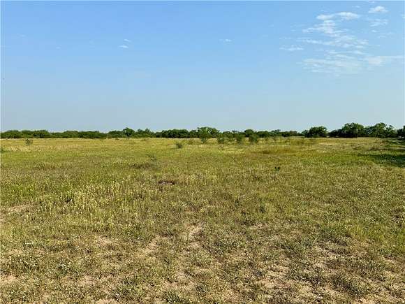 9.41 Acres of Land for Sale in Alice, Texas