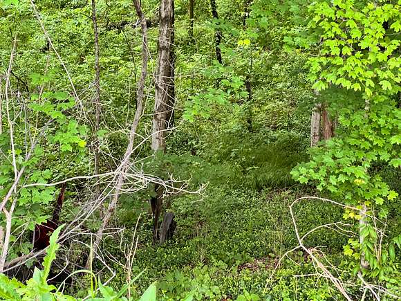 1 Acre of Residential Land for Sale in Munfordville, Kentucky