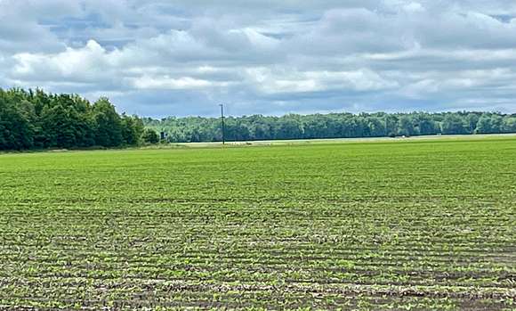360 Acres of Agricultural Land for Sale in Waverly, Louisiana