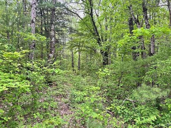 10 Acres of Recreational Land for Sale in Brethren, Michigan