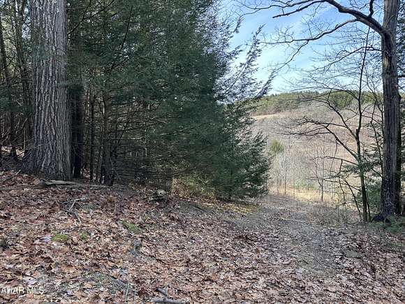 11 Acres of Land for Sale in Clearfield, Pennsylvania