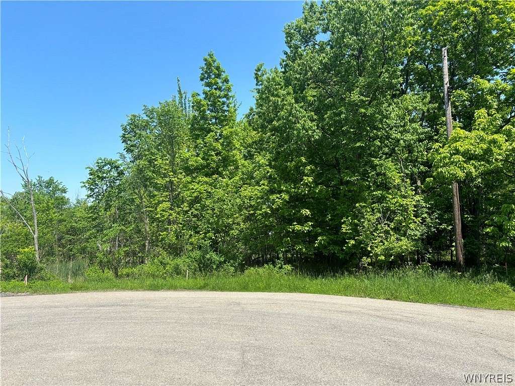 0.67 Acres of Residential Land for Sale in Hamburg, New York