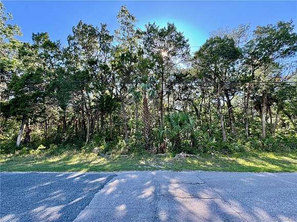 1.1 Acres of Residential Land for Sale in Homosassa, Florida