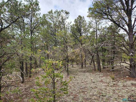 2.9 Acres of Residential Land for Sale in Quemado, New Mexico