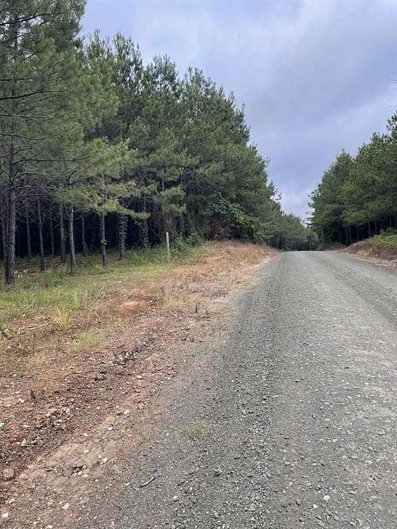 12.4 Acres of Land for Sale in Center, Texas