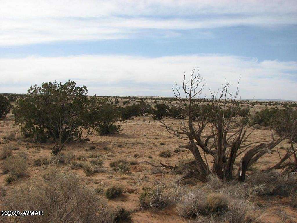 37.5 Acres of Land for Sale in Heber, Arizona