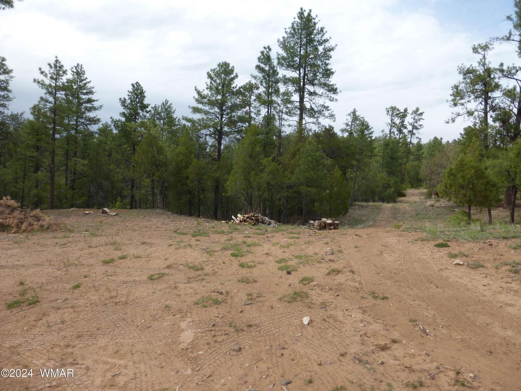 1.25 Acres of Residential Land for Sale in Show Low, Arizona