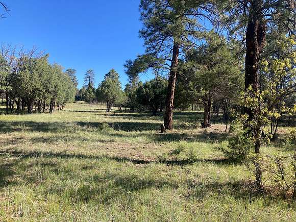 7.7 Acres of Land for Sale in Rutheron, New Mexico